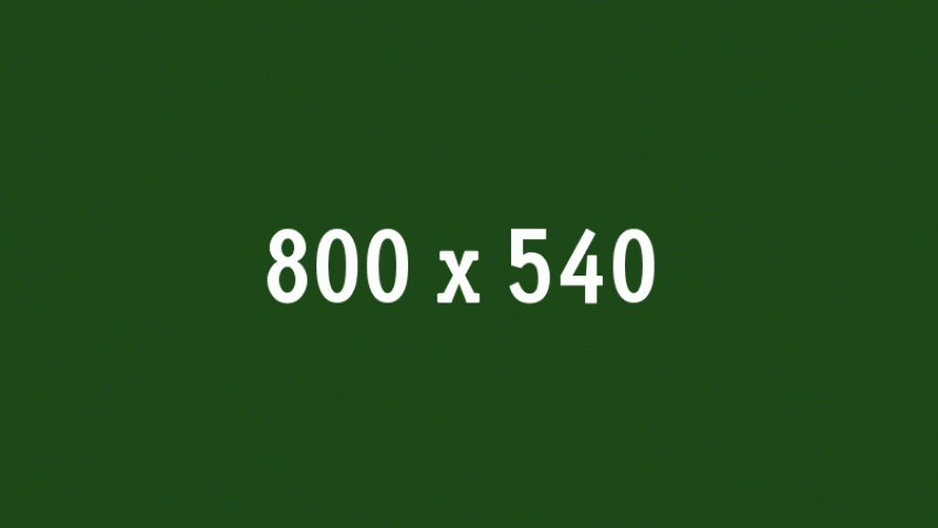 Vendita Auto B2B